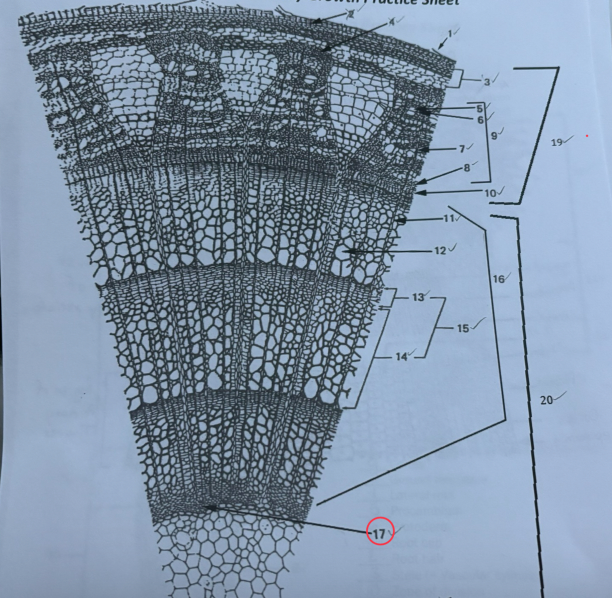 knowt flashcard image