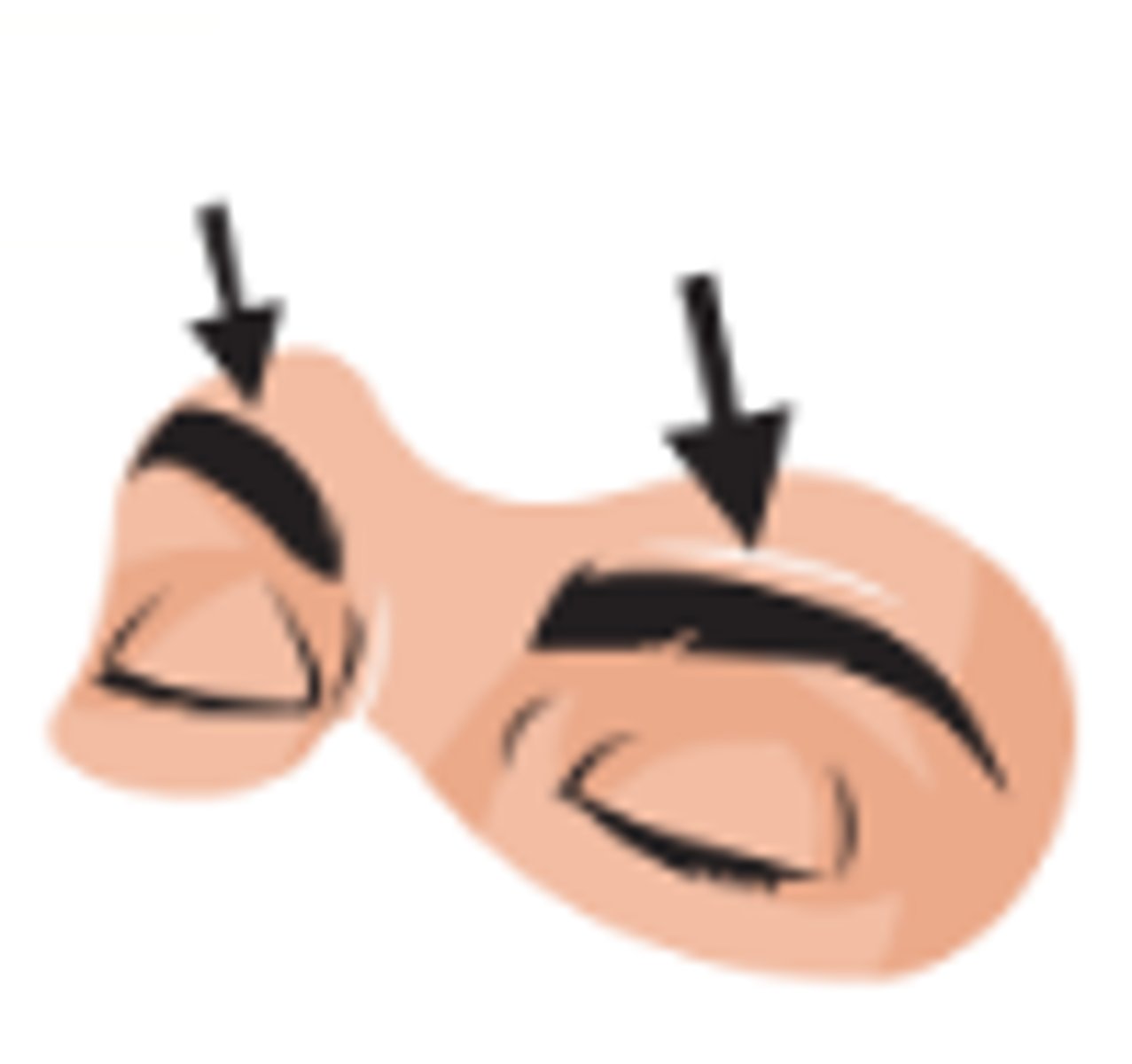 <p>eyebrows</p>