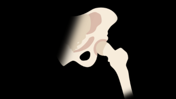 <p>Round bone that fits into cup shape bone and moves the joint in many different directions </p>