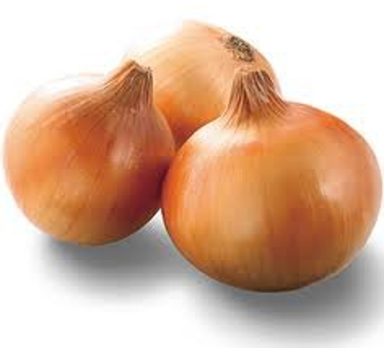 <p>onion</p>