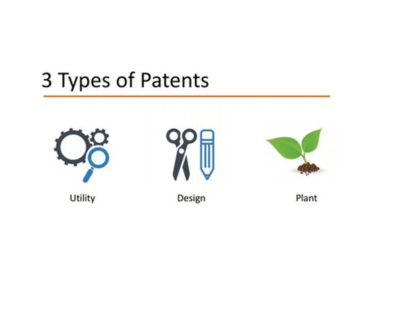 <p>The main types of patents are utility patents, design patents, and plant patents.</p>