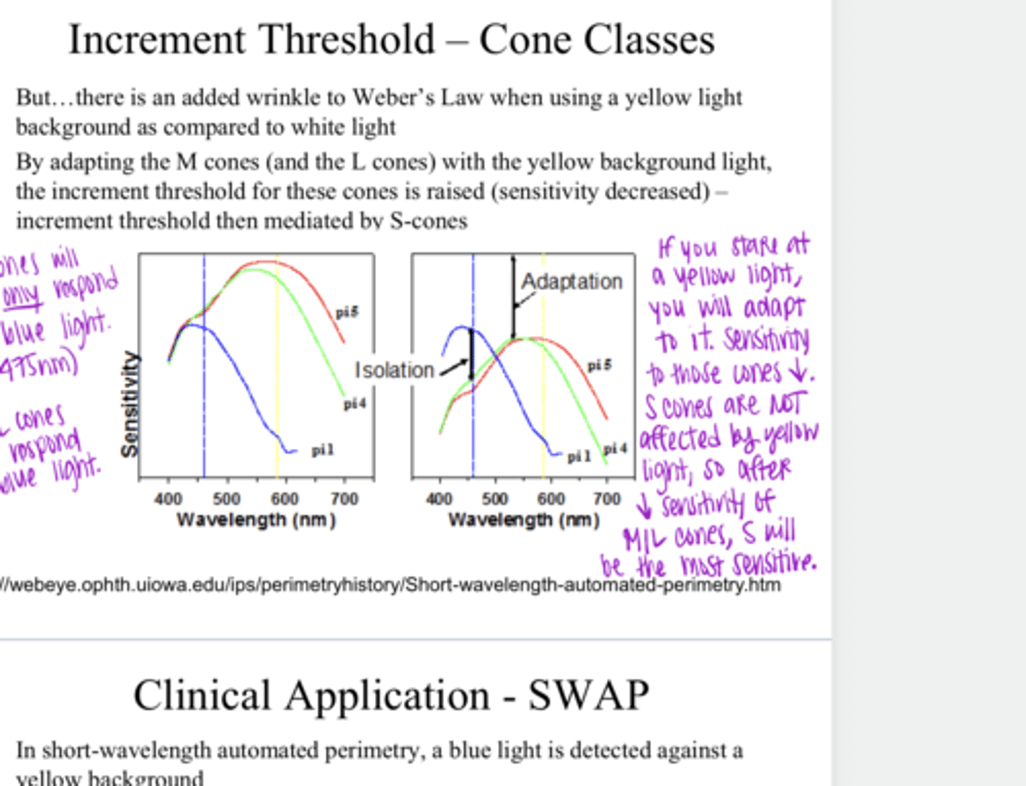 <p>What is the wrinkle to Weber's Law when using a yellow light background compared to a white light?</p>