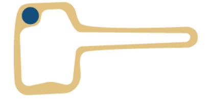 <p>How is a root hair cell <strong><mark data-color="blue" style="background-color: blue; color: inherit;">adapted for absorbing water and mineral ions</mark></strong>?</p>