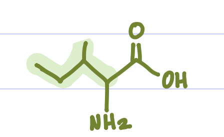 <p>Is this Amino Acid Polar or Non-polar?</p>