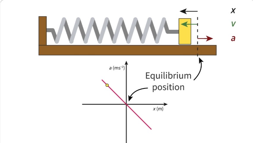 <p>Simple harmonic motion</p>