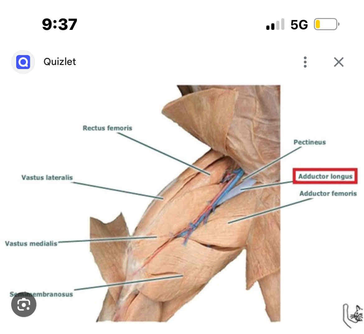 knowt flashcard image