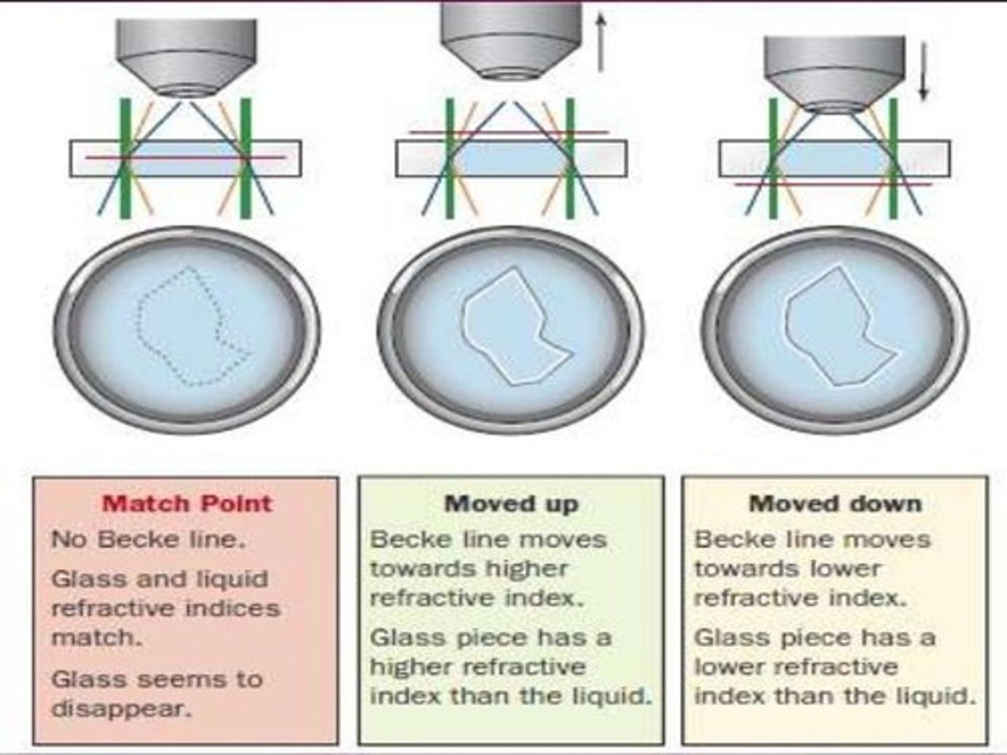 <p>To determine the refractive index of glass by observing the Becke line under a microscope</p><p>- need to know the temperature, RI of oil, and single known wavelength</p><p>- as working distance goes up, becke line moves toward higher RI</p>