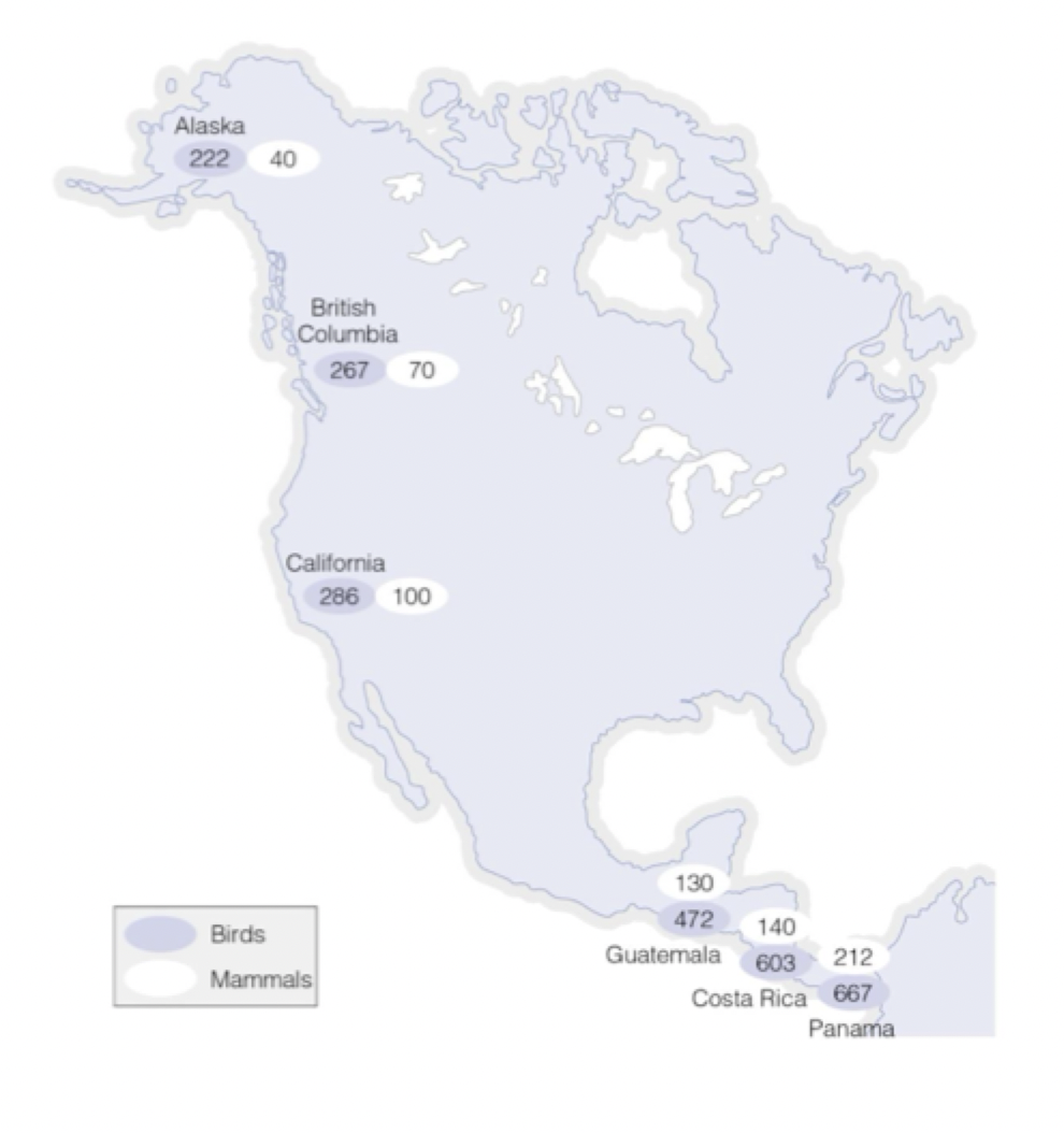<p>The Big Pattern - biodiversity increase from poles to equator</p>
