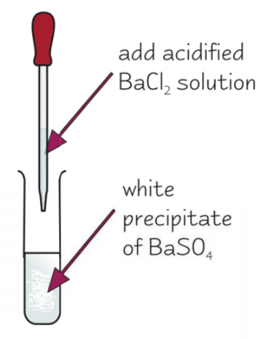 <ul><li><p>add dilute HCl and BaCl<sub>2</sub></p></li><li><p>white precipitate of BaSO<sub>4</sub> forms if SO<sub>4</sub><sup>2-</sup> ions present </p></li></ul><p></p>