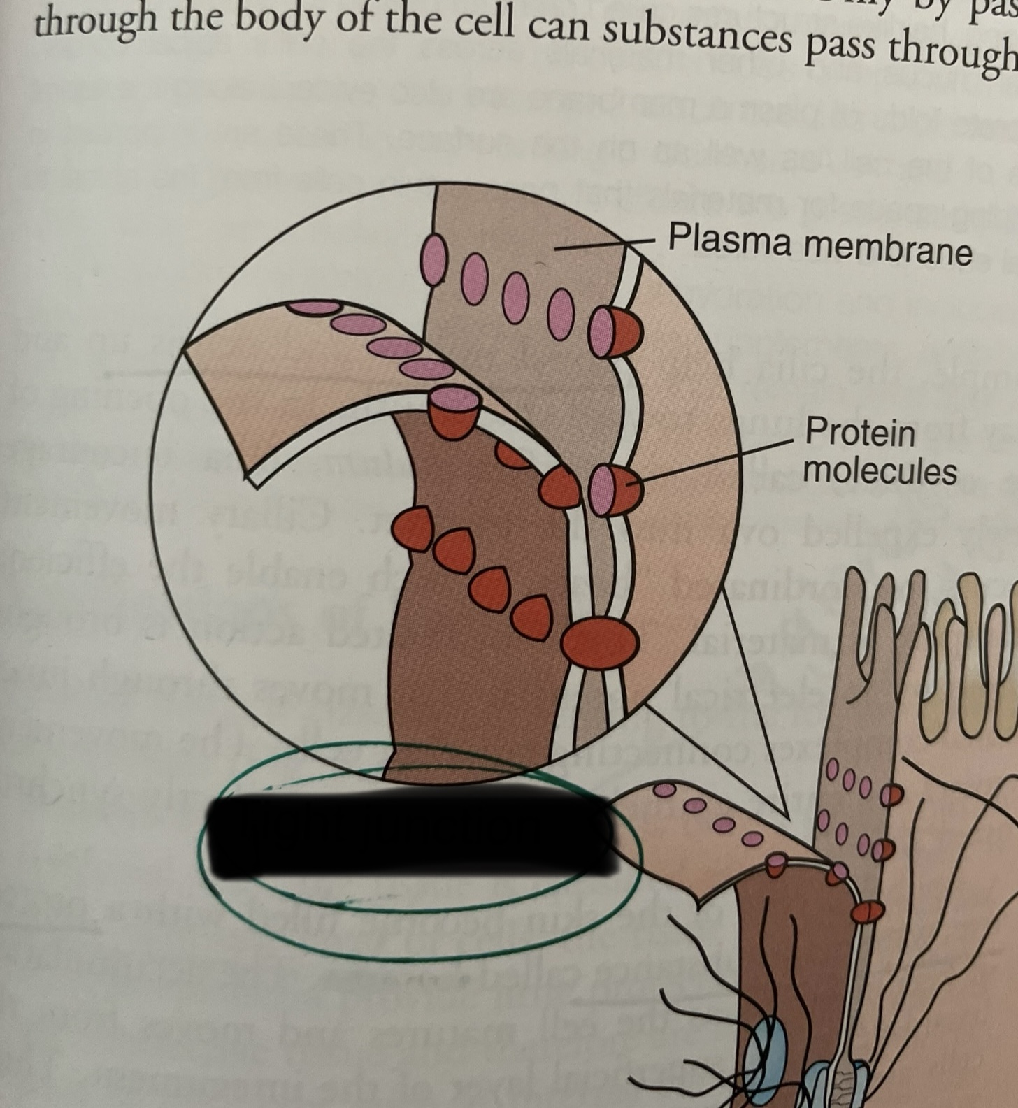 <p>what type of junction is this?</p>