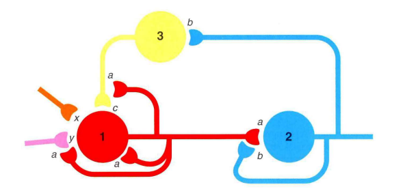 knowt flashcard image