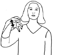 term image