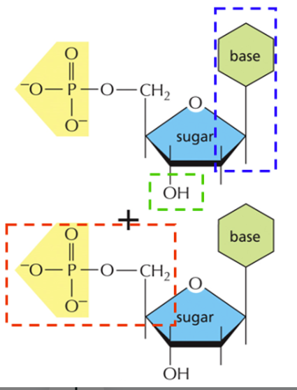 <p>Identify the boxes and the bonds</p>