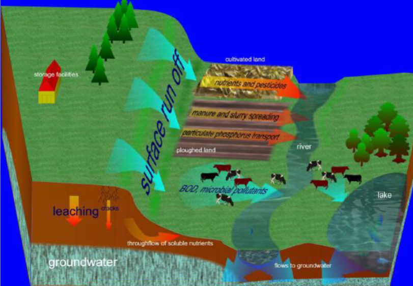 <ul><li><p>removal of natural vegetation</p></li><li><p>reduced inputs of natural organic material </p></li><li><p>increased sediment erosion ploughing </p></li></ul><p></p>