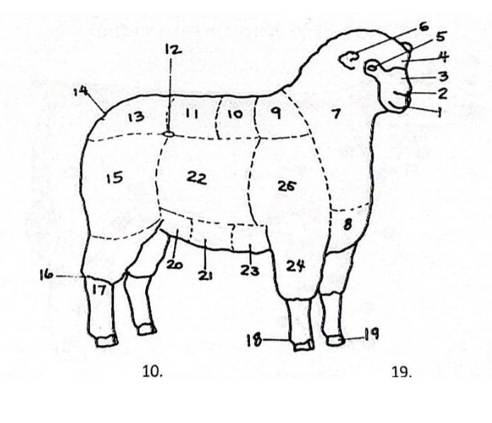 <p>24</p>