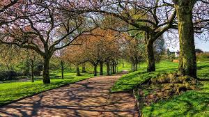 <p>یک پارک </p>