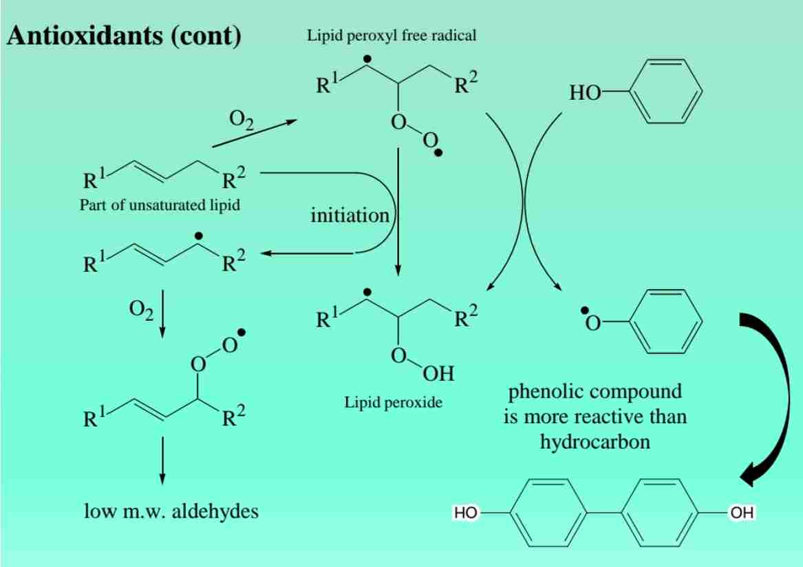 <p><span>Phenolic compounds like BHA prevent oxidation in pharmaceutical formulations.</span></p>