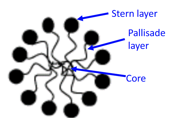 <p>What are the three regions of a micelle?</p>