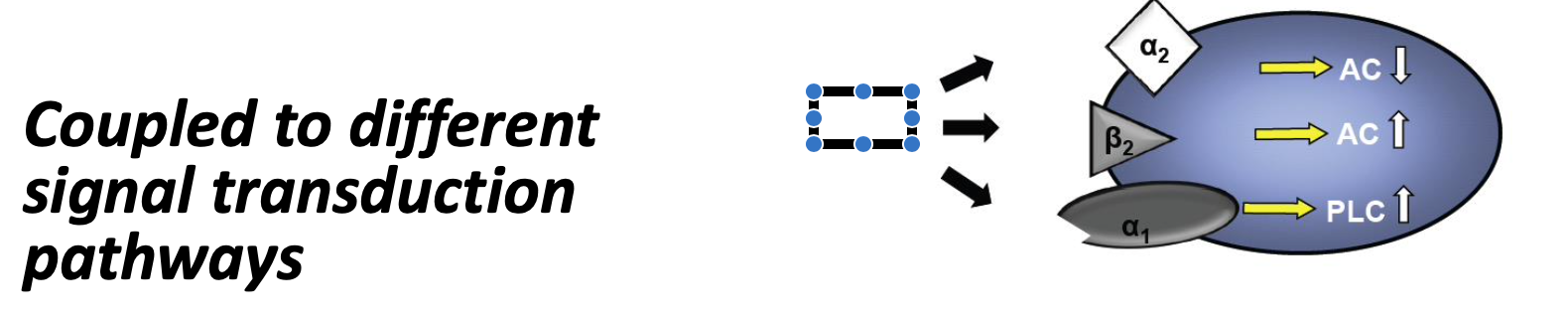 <p>Example circuitry for?</p>