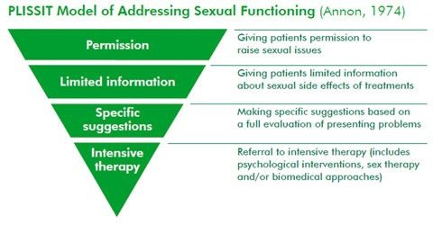 <p>P - Permission</p><p>LI - Limited Information</p><p>SS - Specific Suggestions</p><p>IT - Intensive Therapy</p>