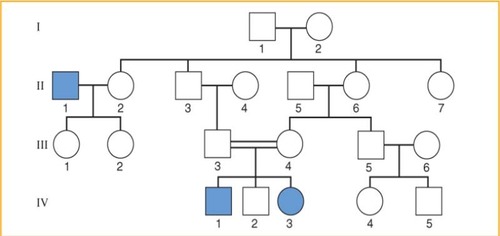 <p><span>inheritance pattern of a recessive allele on an autosome, can skip a generation</span></p>