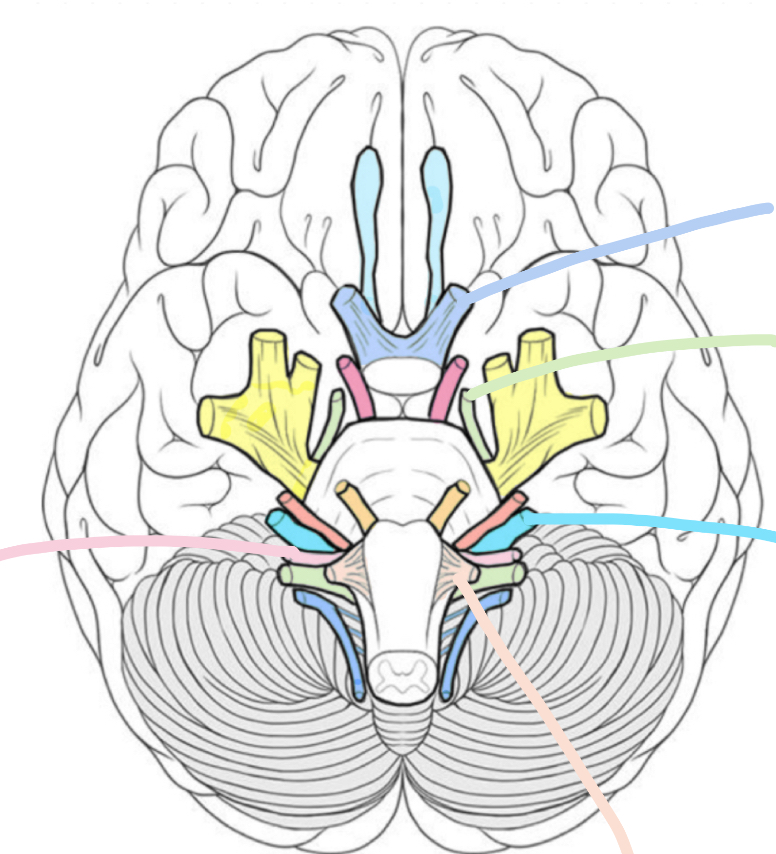 <p>What color is light blue</p>
