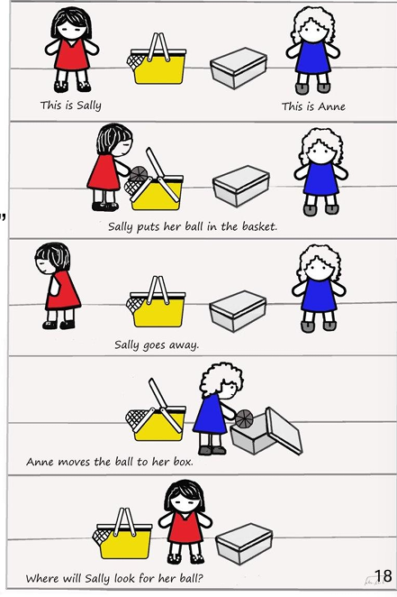 <p>What is the Sally-Anne problem?</p>
