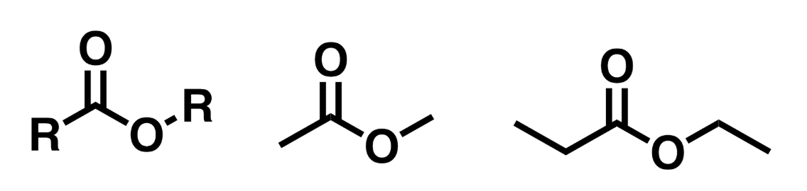 <p>Similar to carboxylic acid, but the H on the hydroxyl group is replaced by a C group</p>