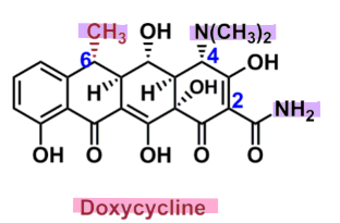 <ul><li><p>semisynthetic tetracycline - with increased stability </p></li><li><p>lipophilic compound with long half-life</p></li><li><p>both nitrogen substituents are important for activity</p></li><li><p>methyl group on C6 is important for oral absorption - more stable in acidic pH </p></li></ul>