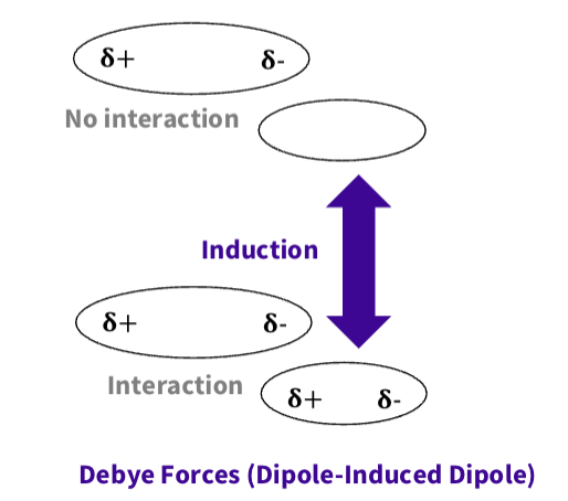 <p><span><span>A permanent dipole induces polarity in a nearby non-polar molecule, creating attraction</span></span></p><p><span><span>Show the ability of a permanent</span></span><br><span><span>dipole to polarize charge in a</span></span><br><span><span>neighbouring nonpolar easily</span></span><br><span><span>polarizable molecule.</span></span></p><p></p>