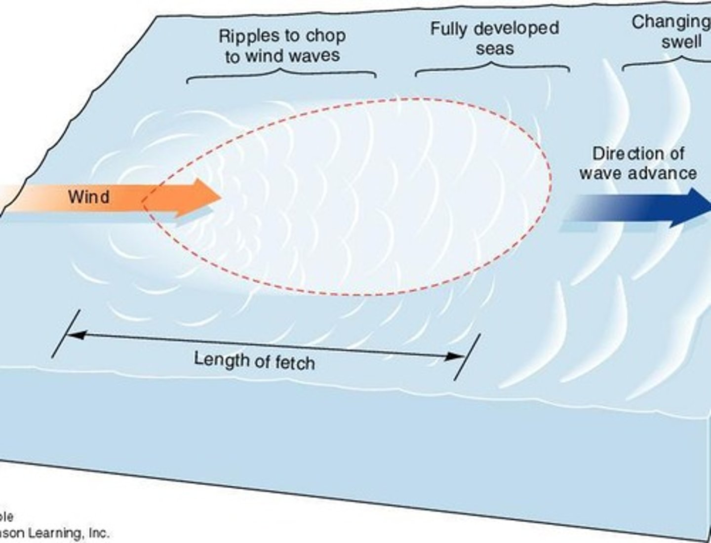 <p>Waves are primarily generated by wind.</p>
