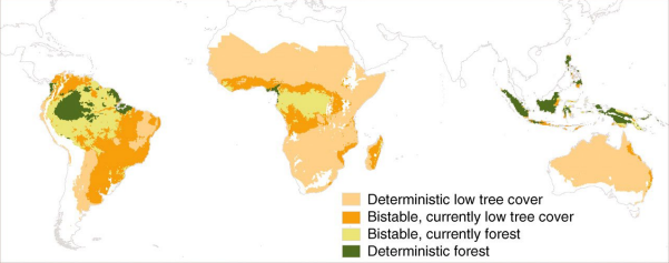 <p>What does Fig 6.3 represent?</p>