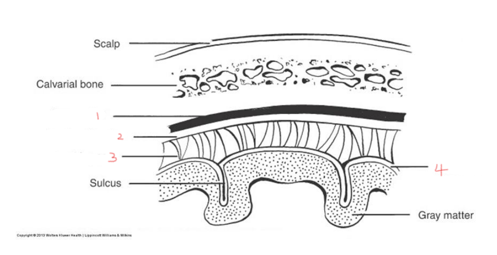 <p>2</p>
