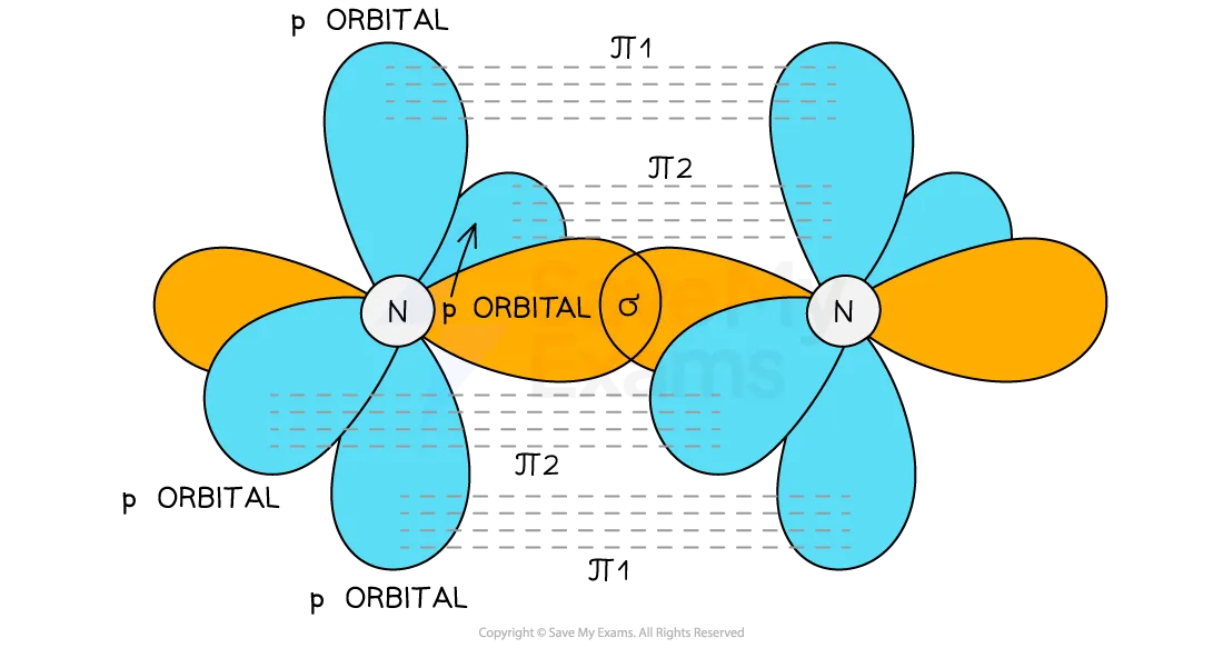 <ul><li><p>Nitrogen contains a <strong>triple bond</strong></p></li><li><p>The triple bond is formed from the overlap of the sp orbitals on each N to form a <strong>σ bond </strong>and the overlap of <strong>two sets</strong> of p orbitals on the nitrogen atoms to form <strong>two π bonds</strong></p></li><li><p>These π bonds are at <strong>right angles to each other</strong></p></li></ul><p></p>