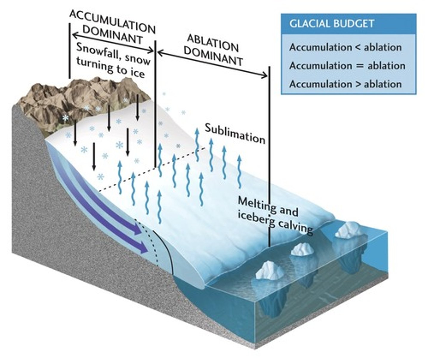 <p>zone of accumulation, zone of ablation, snow line, terminus,</p>