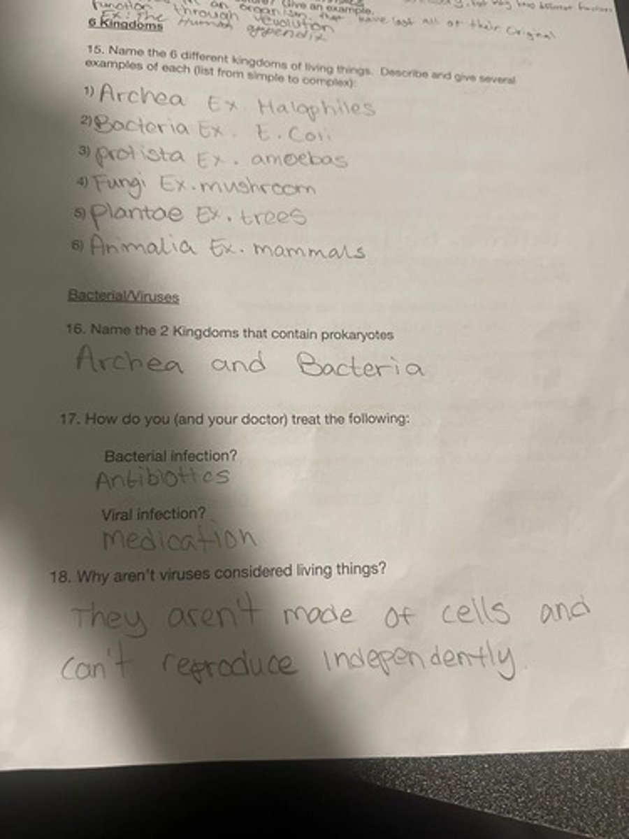 <p>1) Archea Ex. Halophiles 2) Bacteria Ex. E. Coli 3) Protista Ex. amoebas 4) Fungi Ex. mushroom 5) Plantae Ex. trees 6) Animalia Ex. mammals</p>