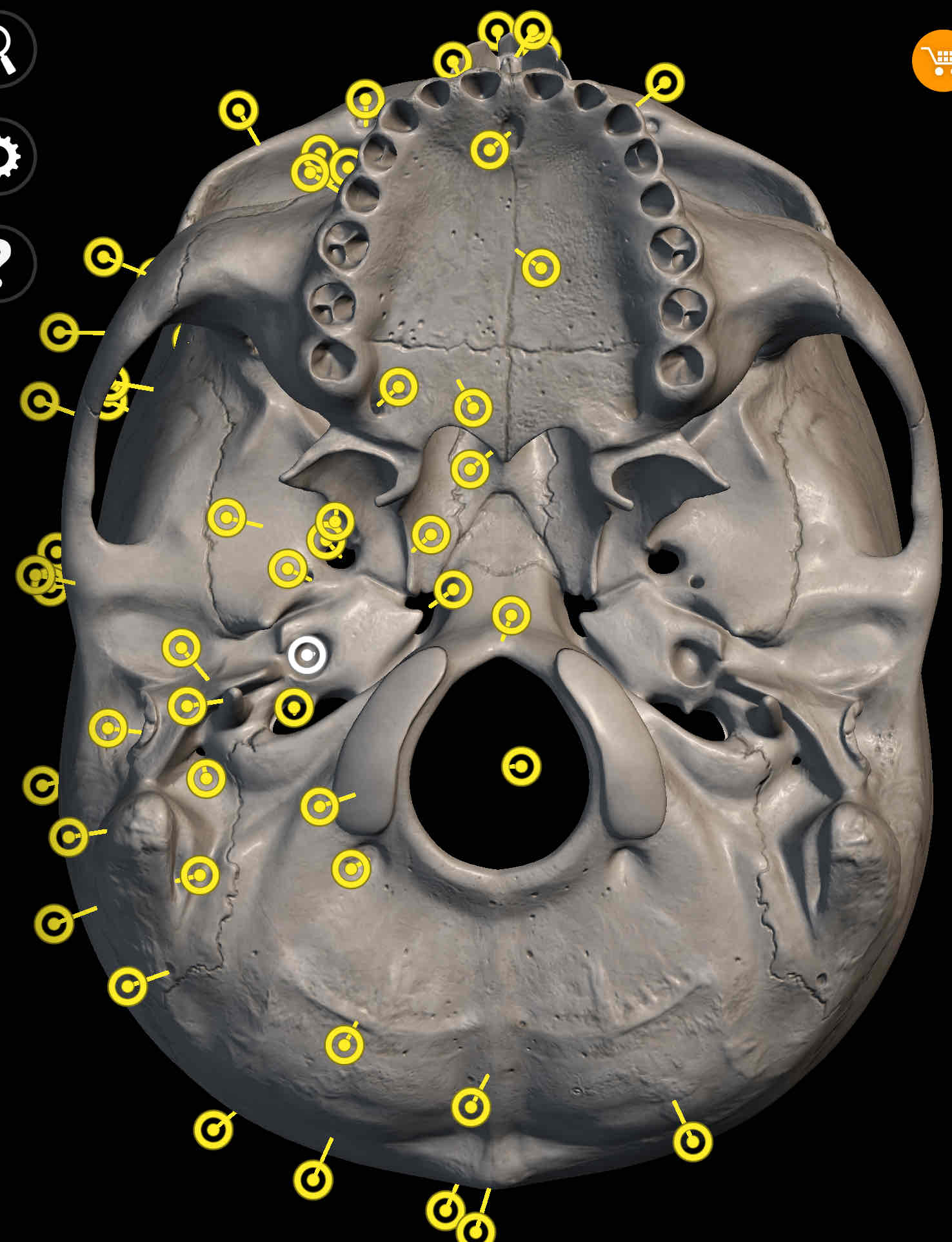 knowt flashcard image