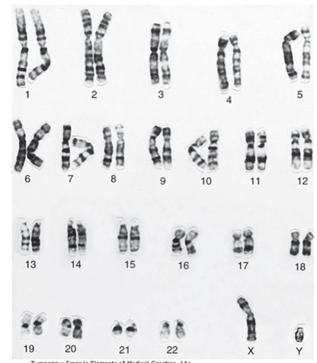 <p>46, 23</p>