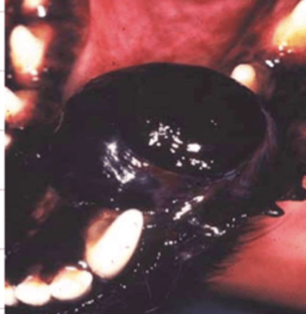 <p>what is this?</p>