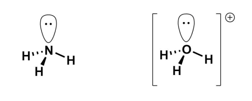 <p>Heteroatoms have lone pairs which usually fill hybrid orbitals.</p><ul><li><p>They have tetrahedral geometry, but can be altered by the number of lone pairs.</p></li></ul><p></p>