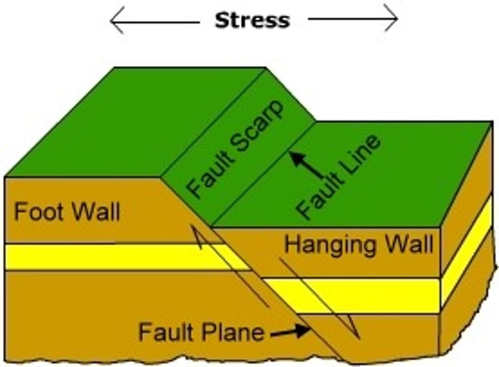 <p>The surface along which rocks break and slide past each other.</p>