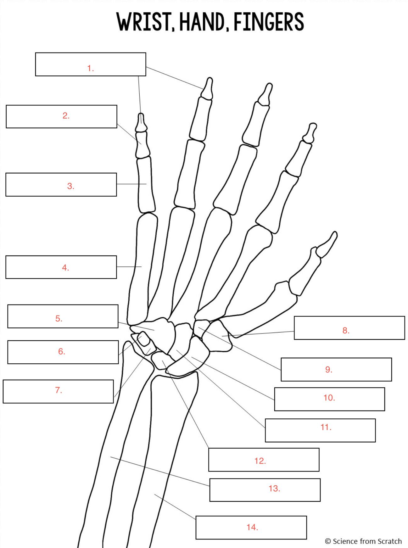 <p>#8</p>