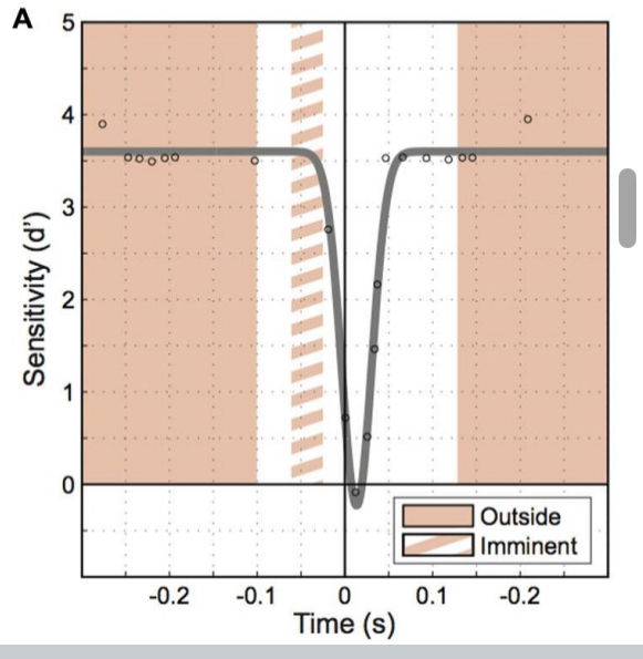 <ul><li><p>Reduction of visual sensitivity that occurs when one makes a saccadic eye movement; eliminates smear during an eye movement</p></li><li><p>0 is when eye starts moving, negative number is before eye movement, positive number is milliseconds after</p></li><li><p>Sensitivity went to the negative number when eye movements were occurring because they perceived motion in the opposite direction</p><ul><li><p>Sensitivity to motion is really bad during eye movement. We want that because we don’t want to perceive that blur</p></li></ul></li><li><p>I.e., there are times of “grey-out”</p></li></ul><p></p>