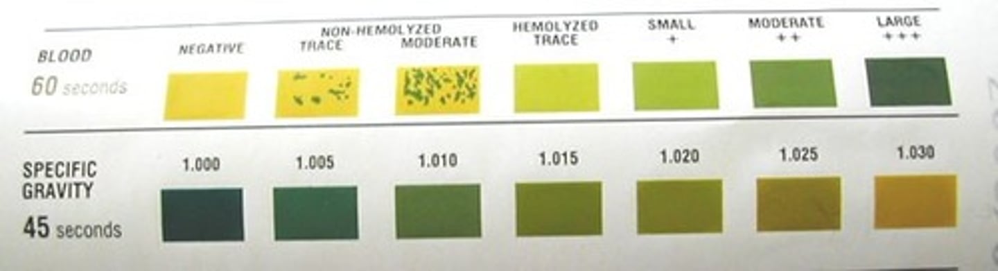 <p>The heme portion of the hemoglobin molecule reduces</p><p>the peroxide present and oxidizes the chromagen tetramethylbenzidine that is present in the pad. The result is a color change from the yellow chromagen to the green, oxidized chromagen.</p>