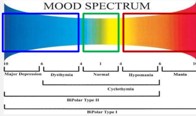 <p><span>goes from left/blue/low to right/red/high</span></p><p><span>Blue - Depression, dysthymia (longer less severe depression)</span></p><p><span>Red - Hypomania (less intense mania), mania </span></p>