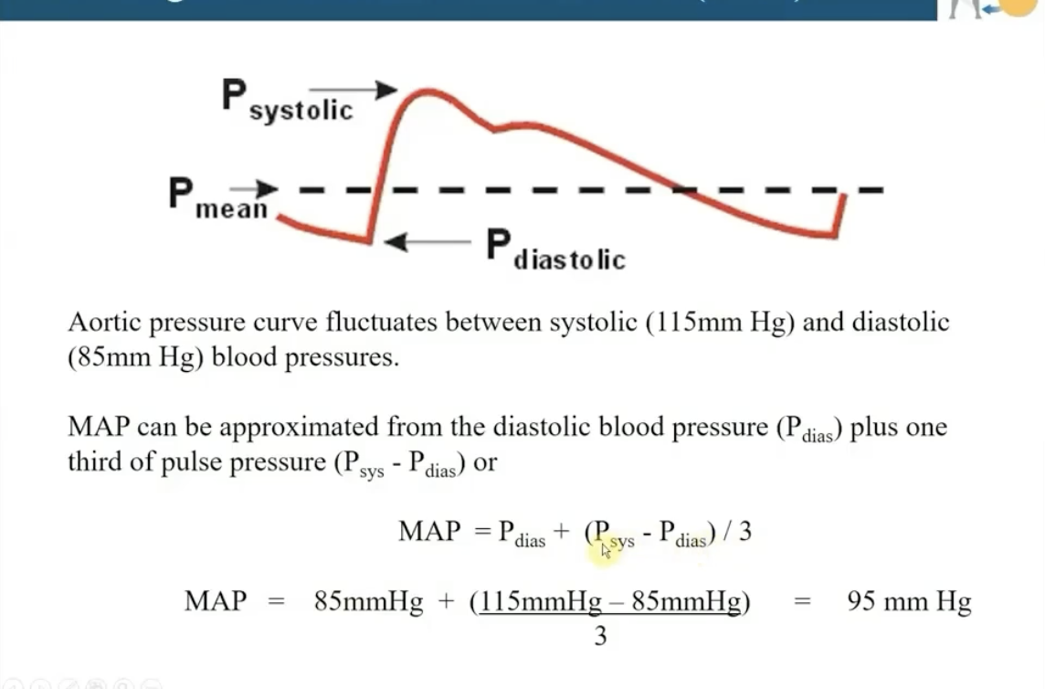 <p>MAP = P (Diastolic) + (P sys - P dias)/3</p>
