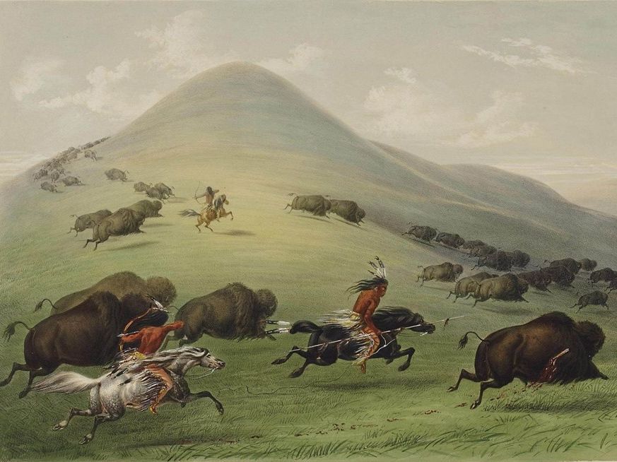 <p>Sioux </p>