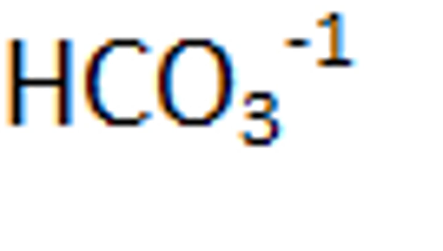<p>HCO3-1</p>