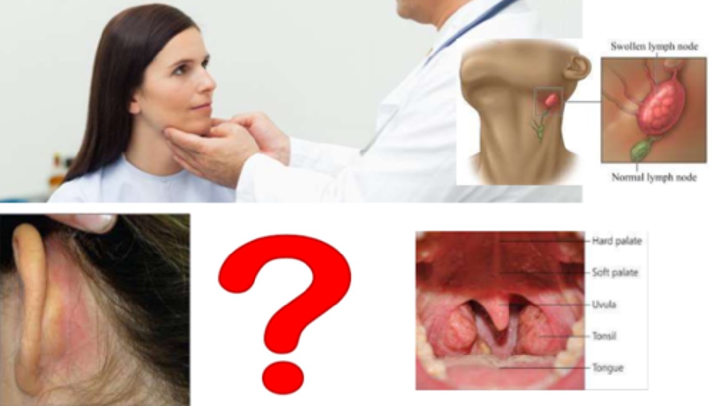 <p>- most common: inflammation &amp; pain</p><p>- headache, fever, malaise</p>