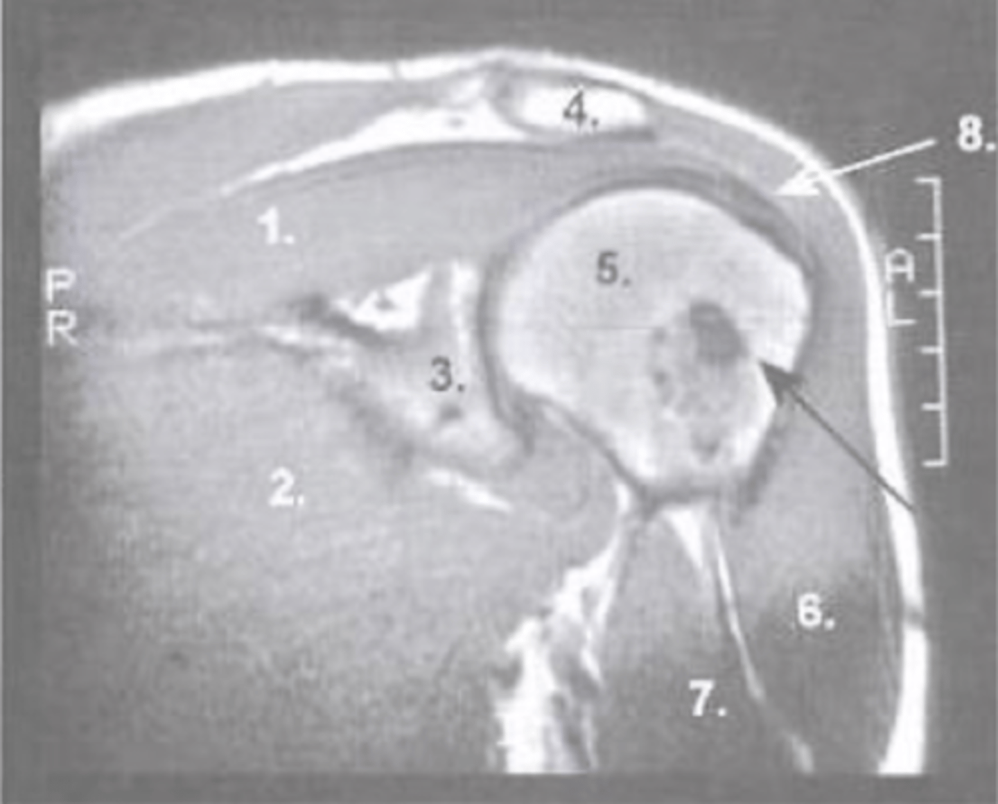 <p>What is number 6?</p>